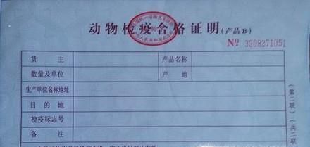 狗狗坐飞机需要什么手续