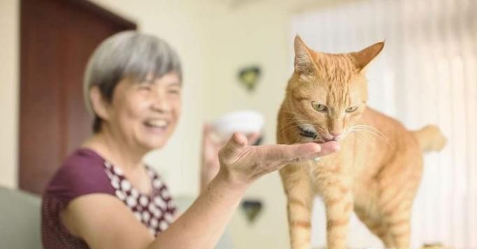养猫十大必备技能，你会几样呢？