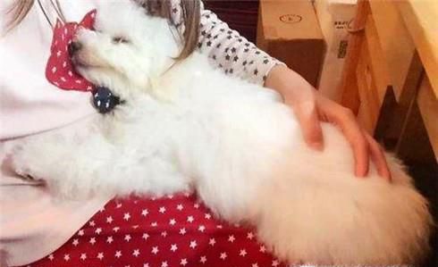 喜欢小动物的人更有爱心吗？为什么？