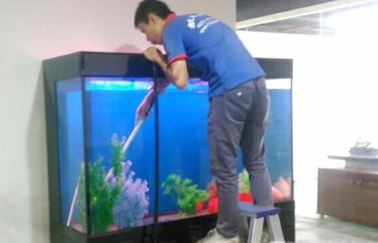 养鱼水混怎么办？养鱼水浑浊怎么办？