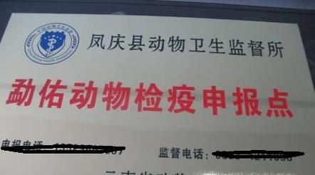 宠物托运如何办理动物检疫证明