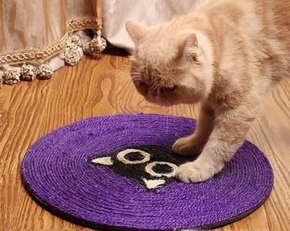 猫咪正确使用猫抓板的十个原则
