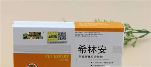 新买的拉布拉多犬消化不良拉肚子怎么办？