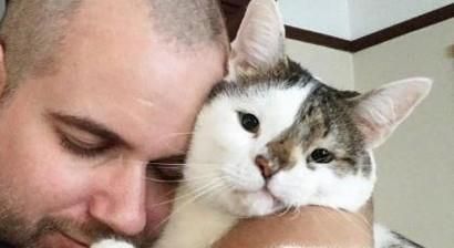 怎样使小猫亲近你