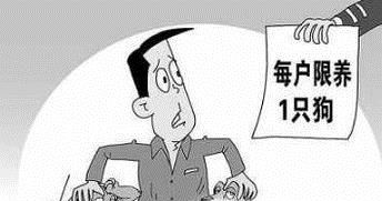 小区养狗扰民怎么办