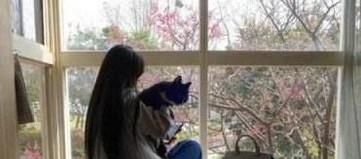 怎样抱猫咪最舒服