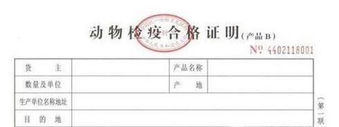 小动物托运怎么办理