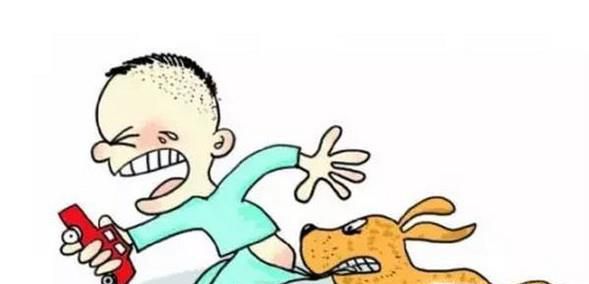 被猫狗咬伤了怎么办？