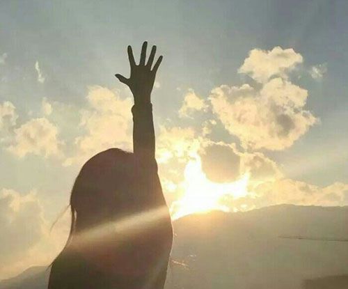 史上第一只狗是怎样来的？