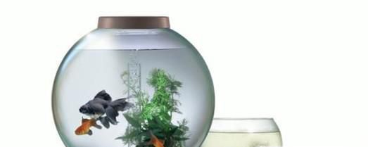 鱼缸养水的正确方法