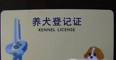 如何在济南办理狗证