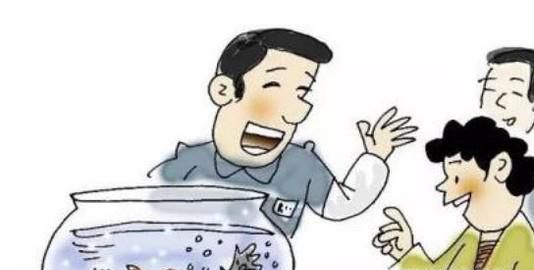 新手开始养鱼要准备的简单步骤
