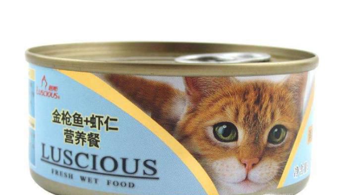 猫罐头怎么喂