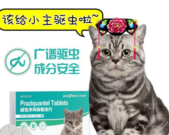 猫咪如何进行驱虫，猫咪驱虫注意事项