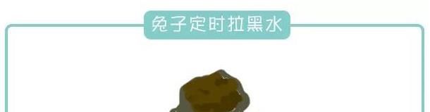兔子拉肚子拉稀腹泻的治疗方法