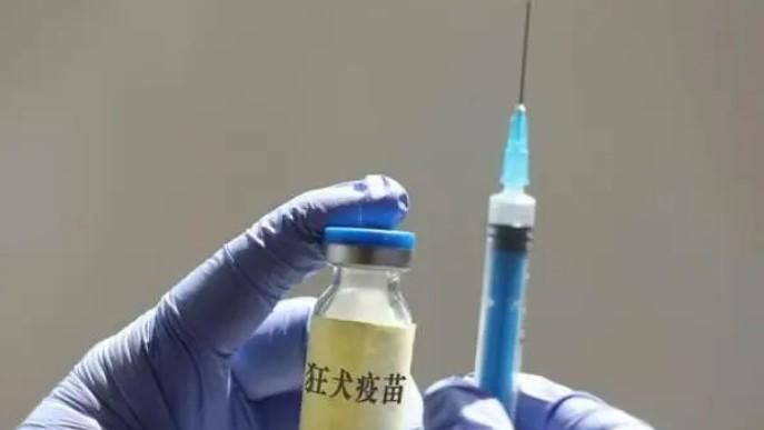 被自己的猫咪咬出血了怎么办