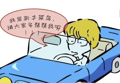 怎么开车?新手怎么开车好?