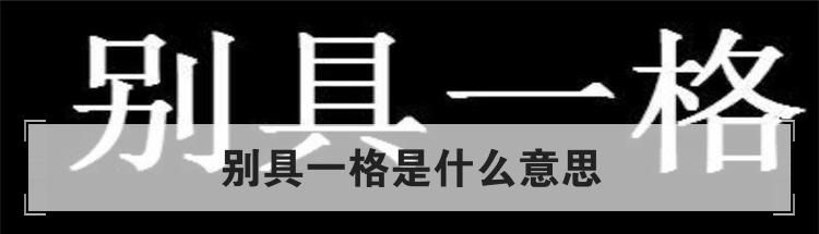 别具一格是什么意思
