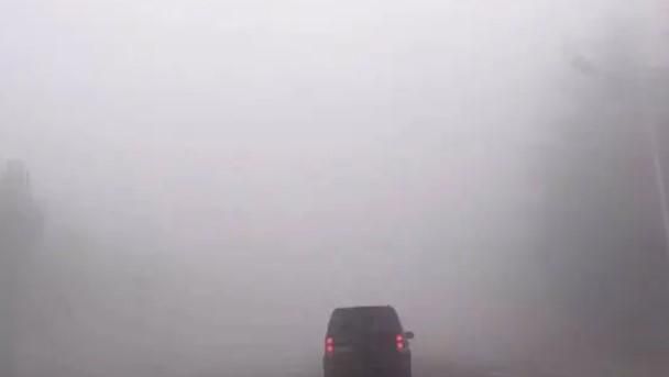 大雾天气开车怎么办