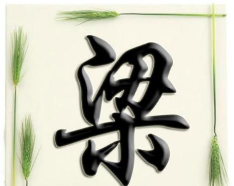 梁姓男孩女孩起名字大全