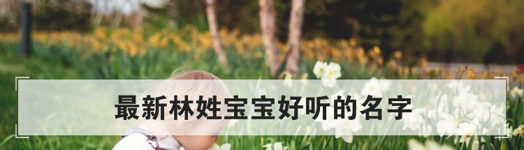 最新林姓宝宝好听的名字