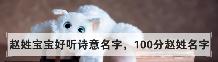 赵姓宝宝好听诗意名字，100分赵姓名字
