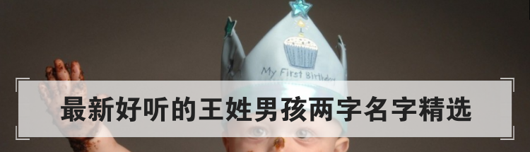 最新好听的王姓男孩两字名字精选