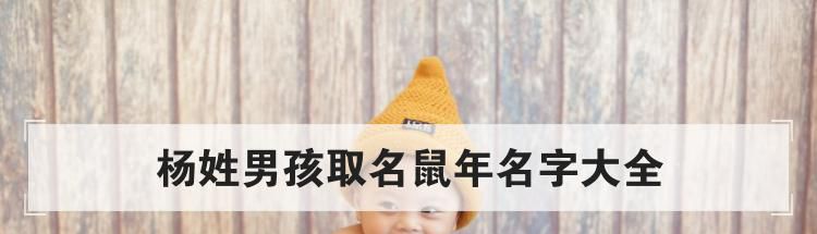 杨姓男孩取名鼠年名字大全