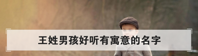 王姓男孩好听有寓意的名字