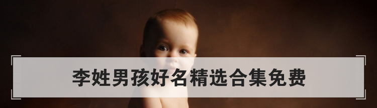 李姓男孩好名精选合集免费