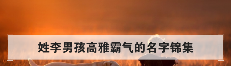 姓李男孩高雅霸气的名字锦集
