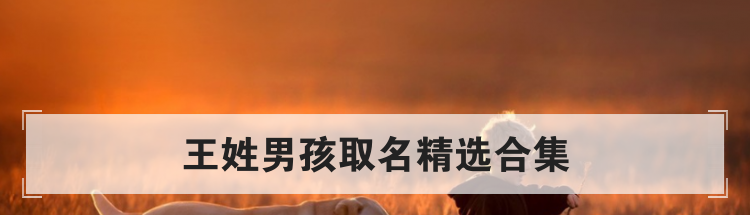 王姓男孩取名精选合集