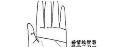 断掌是什么意思