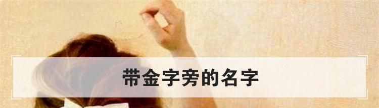 带金字旁的名字