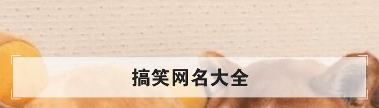 搞笑网名大全
