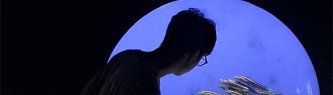 男生简约冷酷的两个字昵称有哪些?