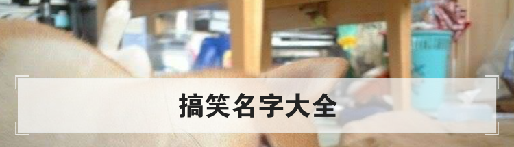 搞笑名字大全