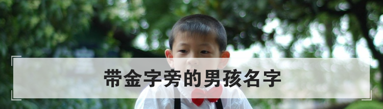 带金字旁的男孩名字