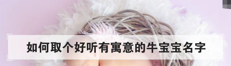 如何取个好听有寓意的牛宝宝名字