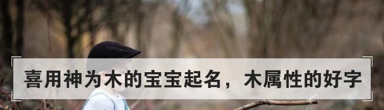 喜用神为木的宝宝起名，木属性的好字