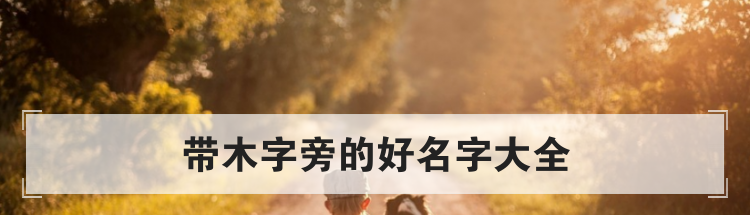 带木字旁的好名字大全