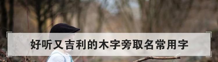 好听又吉利的木字旁取名常用字
