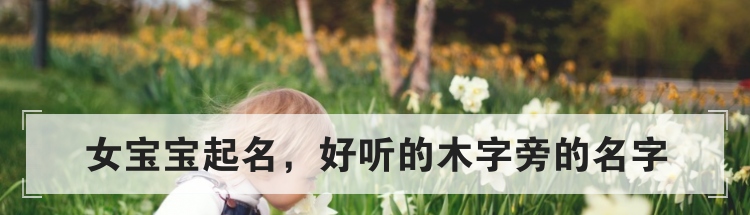 女宝宝起名，好听的木字旁的名字