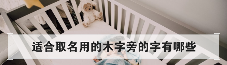适合取名用的木字旁的字有哪些