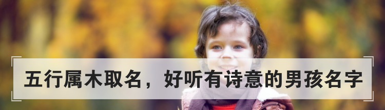 五行属木取名，好听有诗意的男孩名字