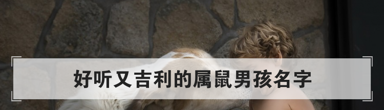 好听又吉利的属鼠男孩名字