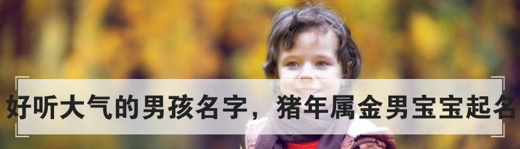 好听大气的男孩名字，猪年属金男宝宝起名