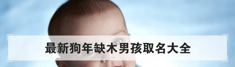 最新狗年缺木男孩取名大全