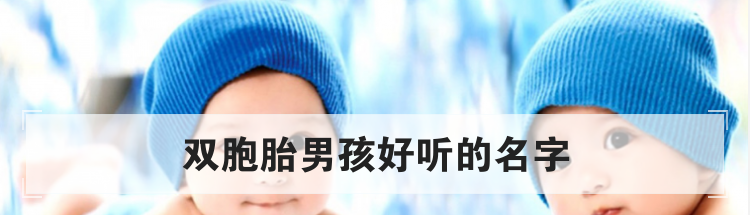 双胞胎男孩好听的名字