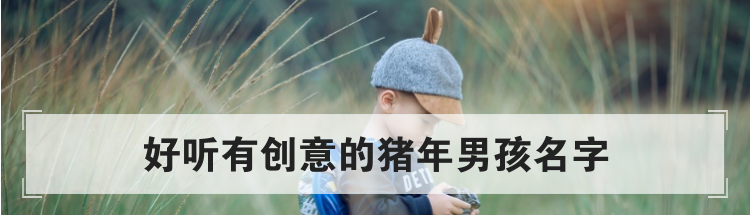 好听有创意的猪年男孩名字
